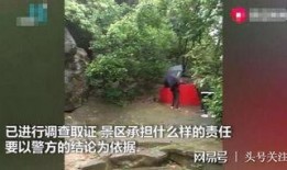 王庄爆料二虎事件始末视频,二虎事件始末揭秘